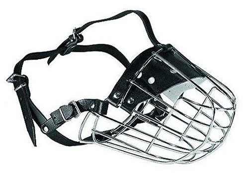 Dino Metalinis snukis - 6 aviganiai