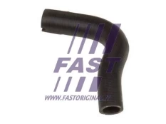Aušinimo skysčio vamzdis FAST FT61710 kaina