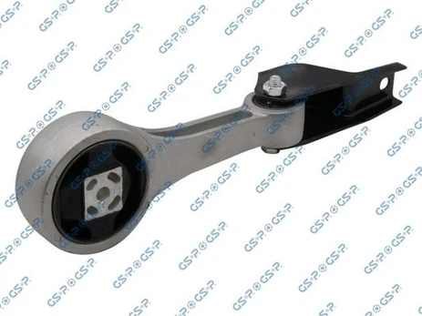 Variklio montavimas GSP 517978