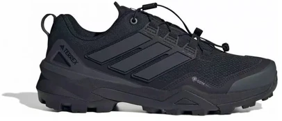 Adidas Terrex Skychaser GTX M IH1093 batai
