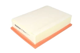 Oro filtras FILTRON AP058/4 kaina