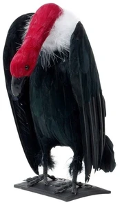 Widmann Dirbtinis grybas, 25 cm