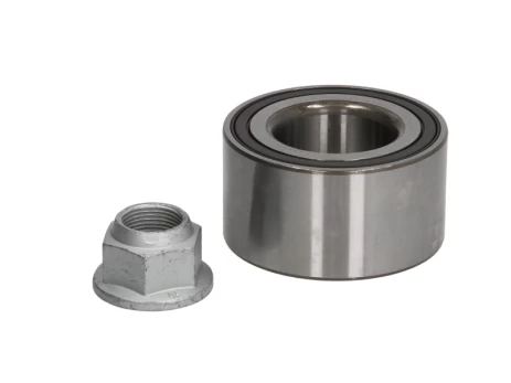 SNR R167.10 Wheel bearing kit