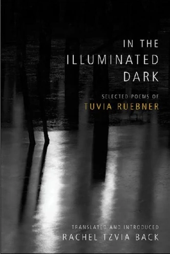 In the Illuminated Dark