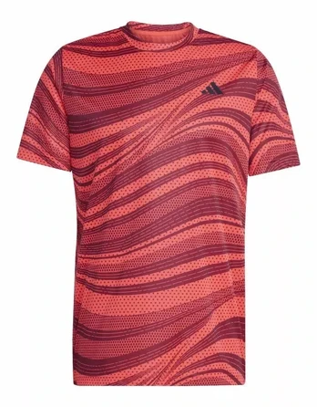 adidas Club Graph marškinėliai M JE0407