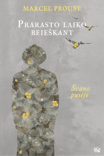 Prarasto laiko beieškant. Svano pusėje