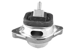 Variklio montavimas TEDGUM TED67295