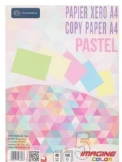 Spalvotas A4 formato popierius, 100 lapų, 5 pastelės spalvos