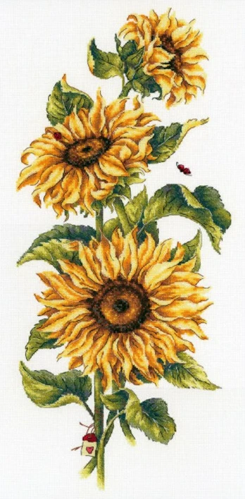 Sunflowers SNV-777