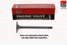 FAI AutoParts EV95289 Angos vožtuvas