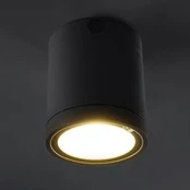 Lauko LED lubų šviestuvas "Negro