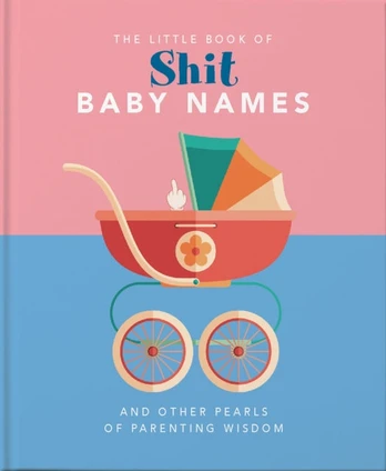 Little Book of Shit Baby Names