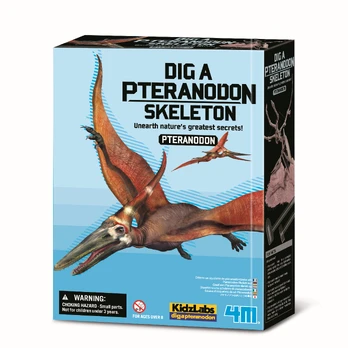 Tyrinėtojo rinkinys 4M Dig A Pteranodon Skeleton 00-03459, įvairių spalvų