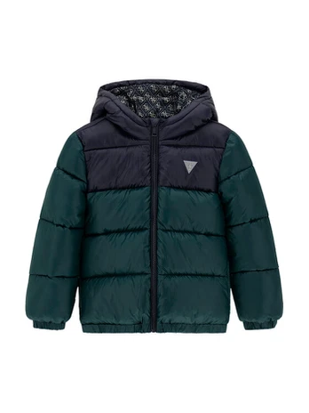 Guess Žieminė striukė L6YL01 W2655 Žalia Regular Fit