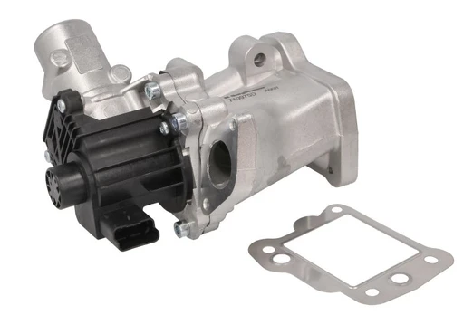 EGR vožtuvas BORG WARNER WA710975D