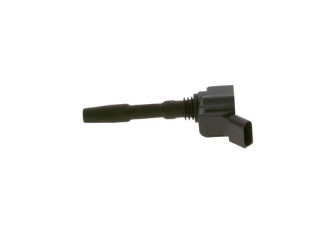 BOSCH 0 986 221 072 ritė, uždegimas