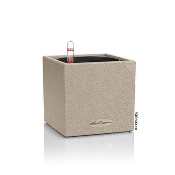 Lechuza Canto Stone 14 Smėlinė