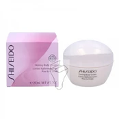 Shiseido Firming Body Cream, 200 ml kaina