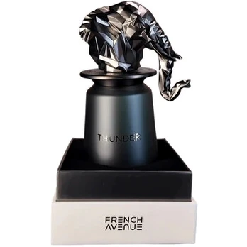 French Avenue Thunder Eau De Parfum 100 ml (man)