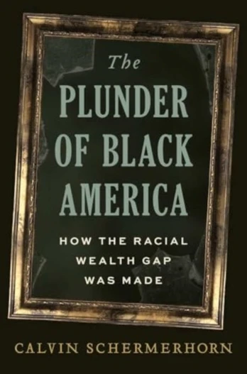 Plunder of Black America
