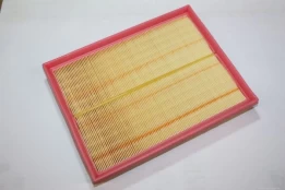Oro filtras AUTOMEGA 180023610 kaina