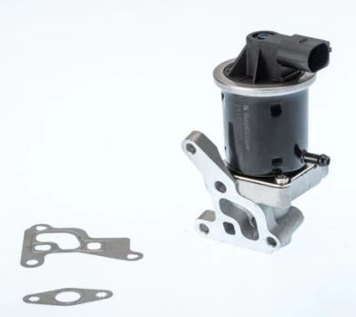 ERG vožtuvas BorgWarner (Wahler) 711028D/1