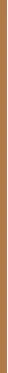 Clarins Hybrid makeup and serum Double Serum Foundation 30 ml