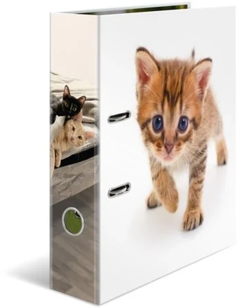 HERMA Ordner A4 Karton Katze