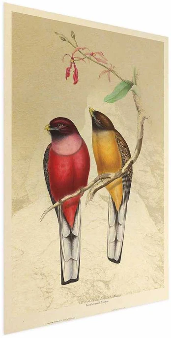 Artgeist Plakatas - Birds on a Branch