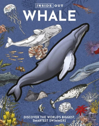 Inside Out Whale