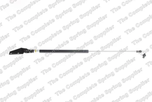 LESJOFORS LS8188309 Boot strut
