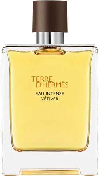 Kvapusis vanduo Hermes Terre d'Hermes Eau Intense Vetiver EDP vyrams 100 ml