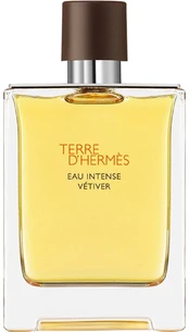 Kvapusis vanduo Hermes Terre d'Hermes Eau Intense Vetiver EDP vyrams 100 ml kaina