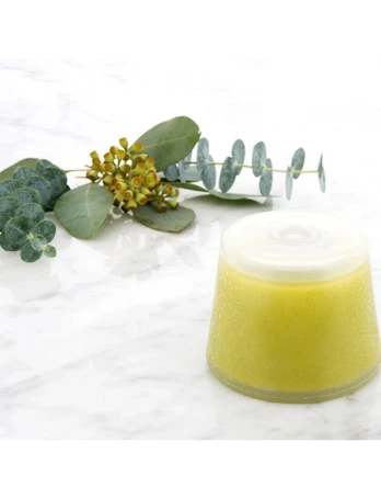Vitaminų filtras Aroma Sense Arofix - EUCALYPTUS