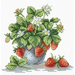 Tasty Strawberry SM-066 - Siuvinėjimo rinkinys