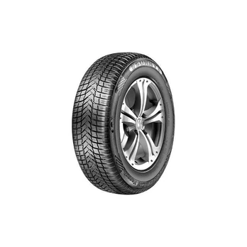 Sunny NC501 225/50 R17 98W XL