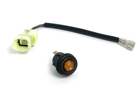 9030-160810 SWITCH ASSY, FOG LIGHT