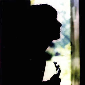 CD Paul Weller - Wild Wood