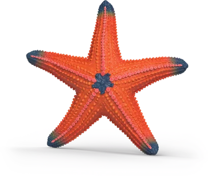 Schleich Starfish with color change