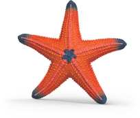 Schleich Starfish with color change kaina