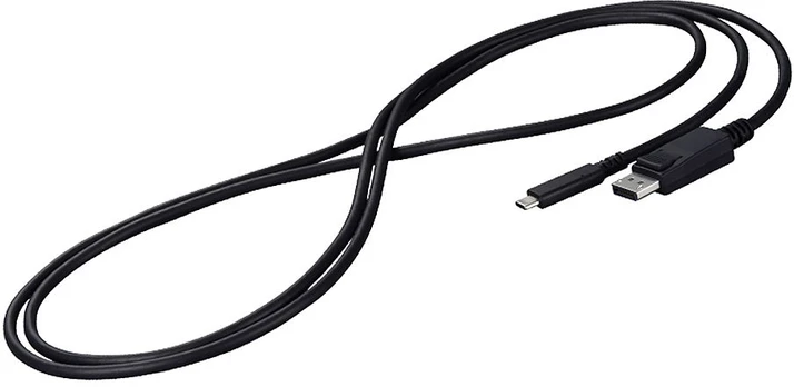 EIZO CP200-BK DisplayPort laidas 2 m USB C Juodas