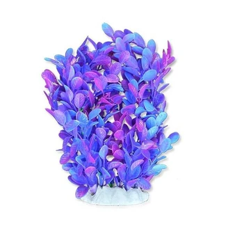 Folijos augalas 20cm 2f25 Happet