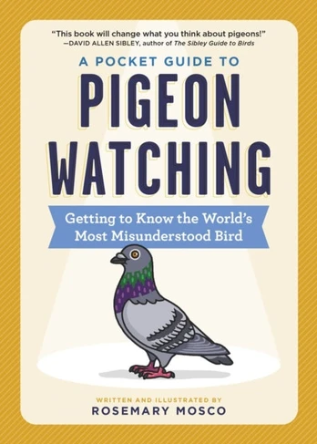 Pocket Guide to Pigeon Watching, Getting to Know the World's Most Misunderstood Bird