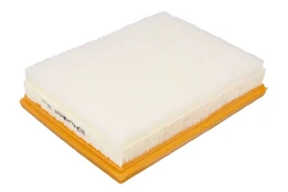 Oro filtras PURFLUX A3005 kaina