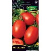 VALGOMIEJI POMIDORAI RIO GRANDE kaina