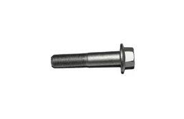 30001-122060160 BOLT M10x1.25x60
