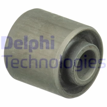 Variklio montavimas DELPHI TEM071