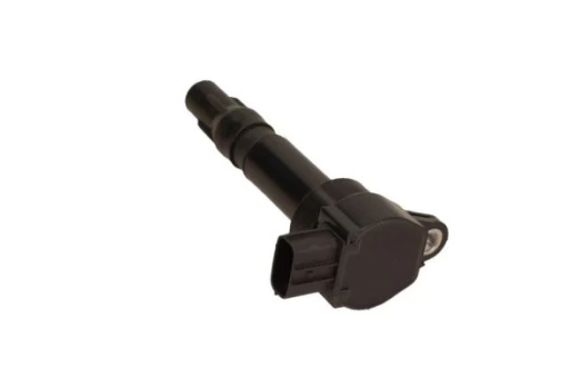 Ritė, uždegimas MAXGEAR 13-0187