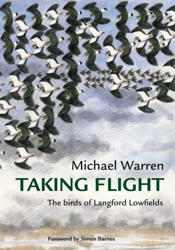 Taking Flight