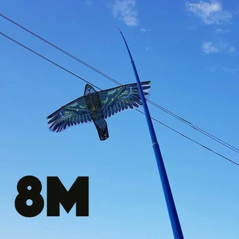 Kotas 8M aitvarui